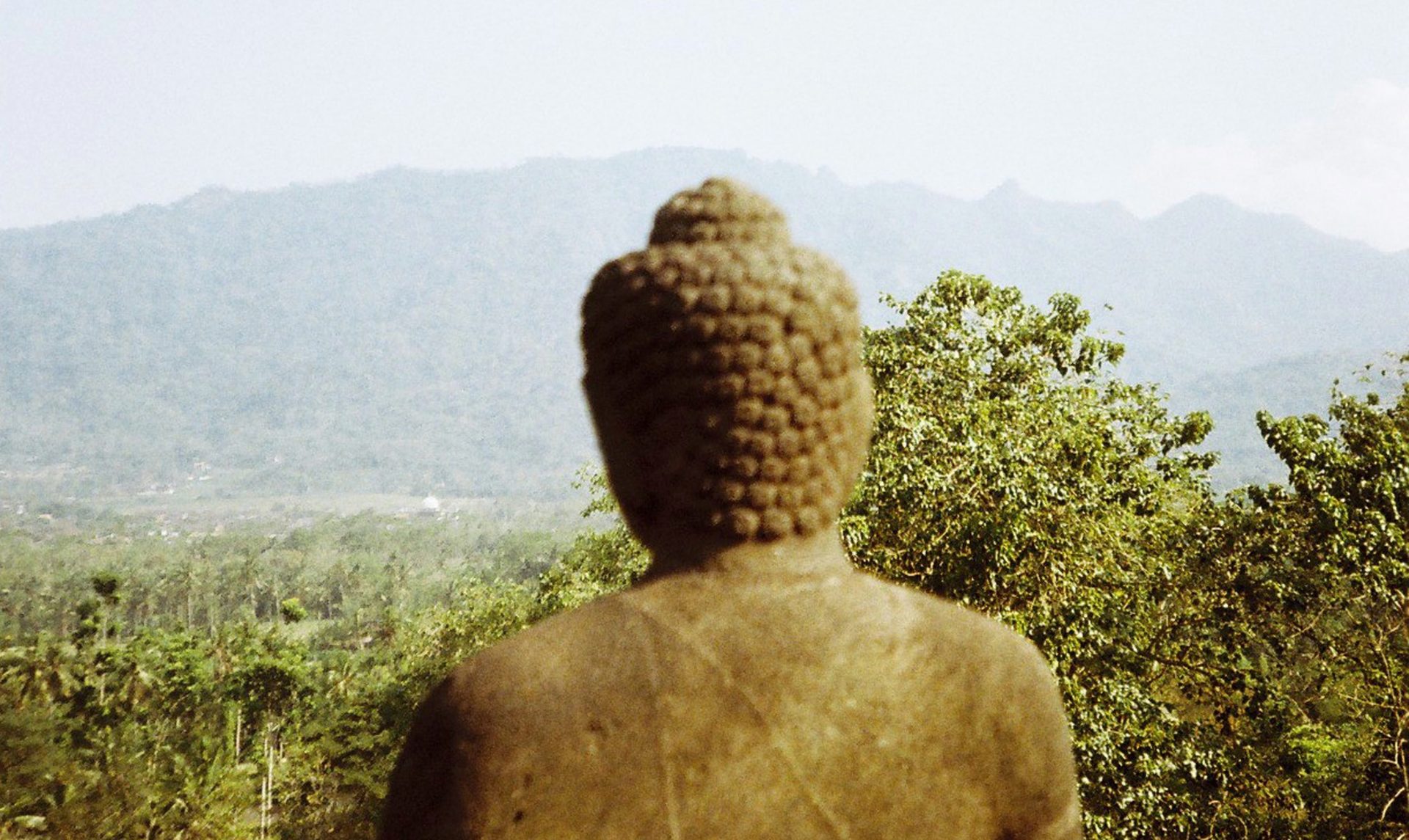 Todas las cosas son Buda